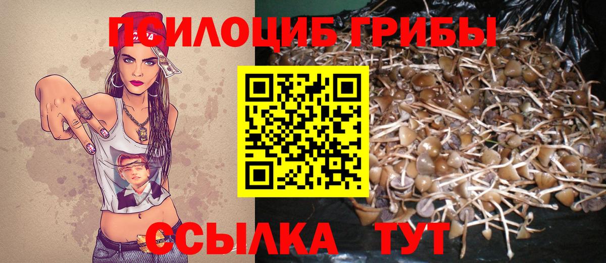 Псилоцибиновые грибы MAGIC MUSHROOMS Елизово