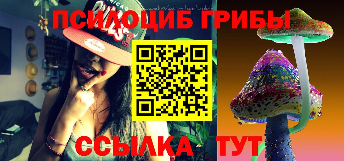 Галлюциногенные грибы Psilocybine cubensis  Галлюциногенные грибы мицелий  Вход с VPN  Елизово 